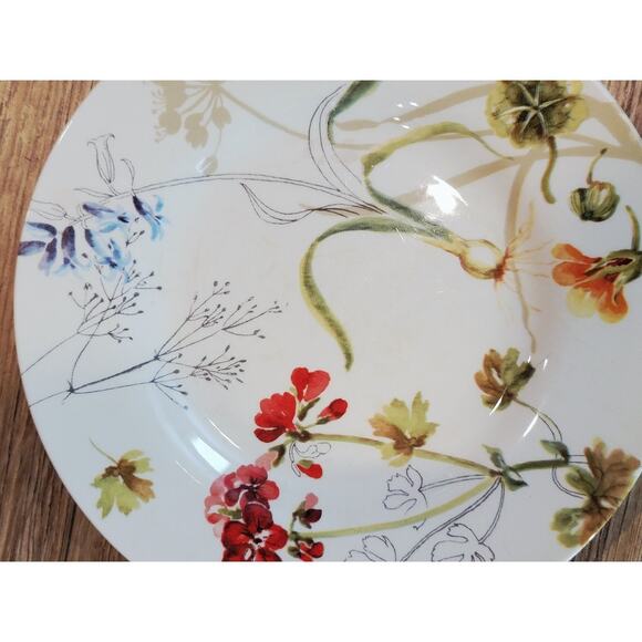 Royal Stafford Earthenware Sketchbook Salad Plates 8.5" Set of 4 Floral Harvest - Picture 4 of 6